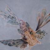 Lion Fish - tempera on gesso