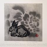 Tuzi - Chinese Rabbit