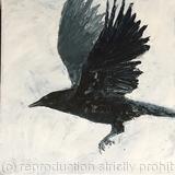 Crow II - for sale