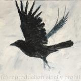 Crow I - for sale