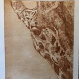 Giraffe - Burnt Umber
