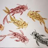 Koi Carp