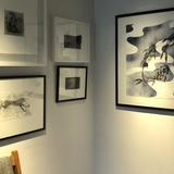 Intaglio & Collograph