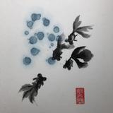 Chinese Black Goldfish 