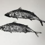 Two Mackerel