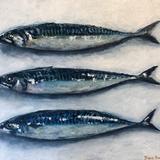 Three Mackerel