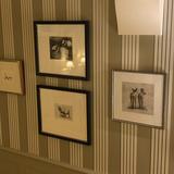 African Wild Dogs (with Henry Moore!)