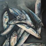 Scad - Mackerel