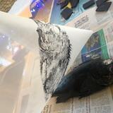 Printing a fish with Japanese ink and silk