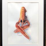 Langoustine - A5