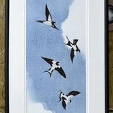 Swallows