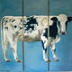 Normande Cow NFS