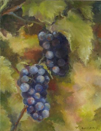 Grapes 2 (11x14')