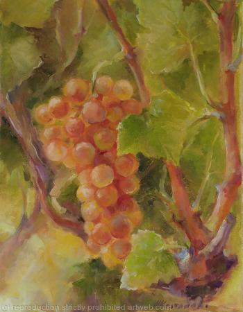 Grapes 3 (11x14')