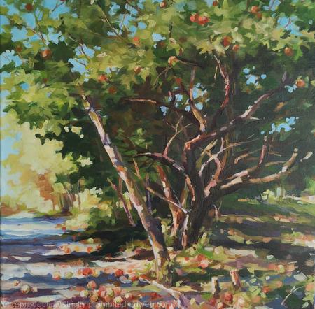 Old apple tree (14x14x0.7'')