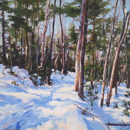 WINTER PATHS #6 (20×2021,5')