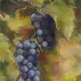 Grapes 2 (11x14')
