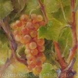 Grapes 3 (11x14')