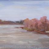 Plein air at the lake (5x7x0.1'' unframed, framed 8.7x7x0.5