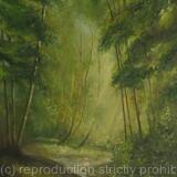 Forest - SOLD