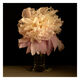 Peony 3