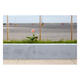 Single Flower -Crete