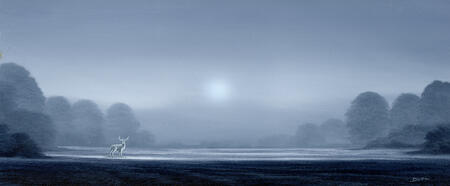 The morning wanderer