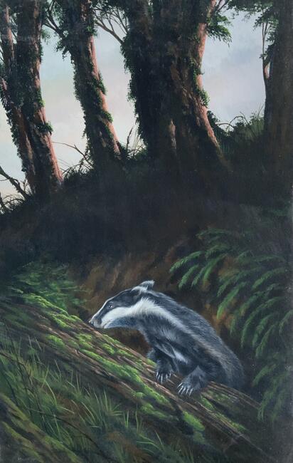 The curious Badger 