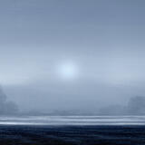 The morning wanderer