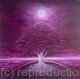 Purple serene 