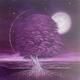 Purple gift