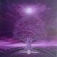 The Purple Dream 