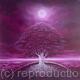 Purple serene 