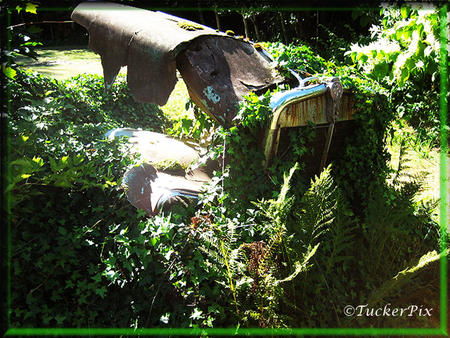 Mount St. Helens Kenworth 1