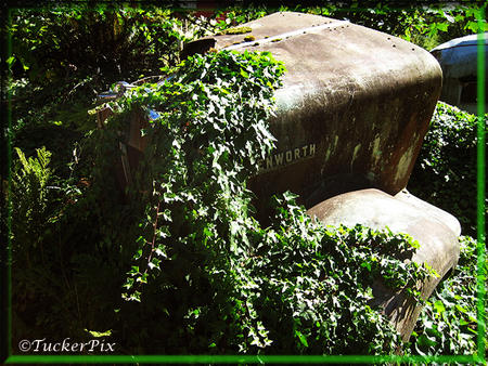 Mount St. Helens Kenworth 2