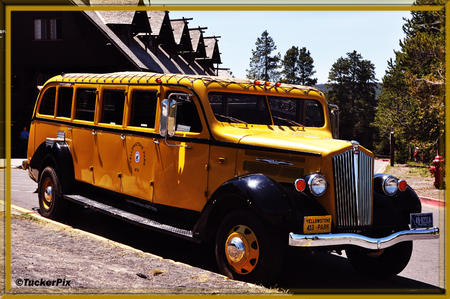 Yellowstone bus 2