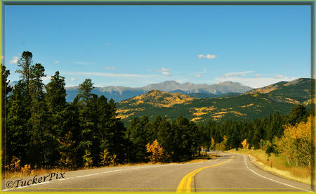 Peak to Peak Highway middle of the road