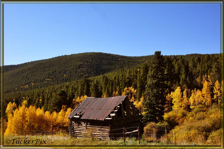 Old Barn Golden Gate State Park