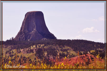 Devils's Tower
