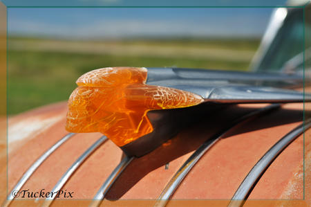 Vintage Pontiac Figurehead