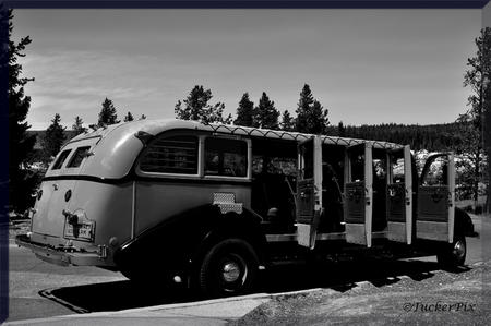 Yellowstone National Park vintage tour bus