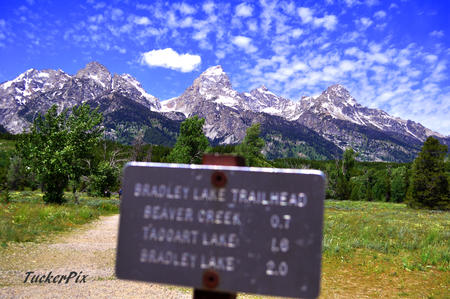 Bradley Lake sign background