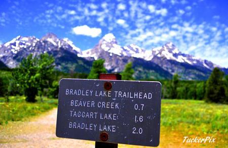 Bradley Lake sign foreground