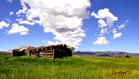 Flat Tops and aged homestead
