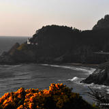 Sunset Heceta Head
