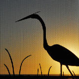 Blue Heron Sunset