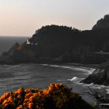 Heceta Head 