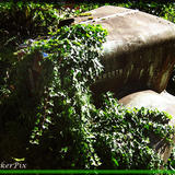 Mount St. Helens Kenworth 2