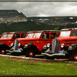 Glacier National Park White Company Red bus trio