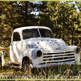 1954 Chevrolet truck